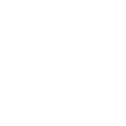 ExpressJS icon